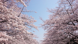 IMG_20150330_125106.jpg